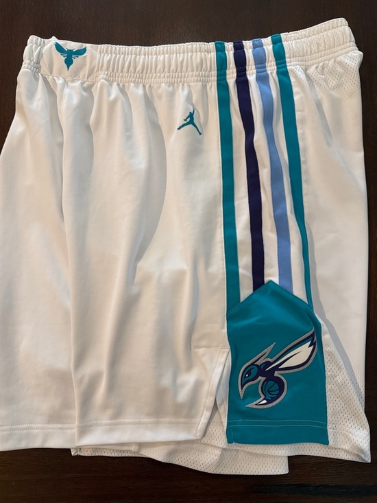 Jordan Other - Jordan Charlotte Hornets On Court Player Shorts Nike 44 Pro Cut Game